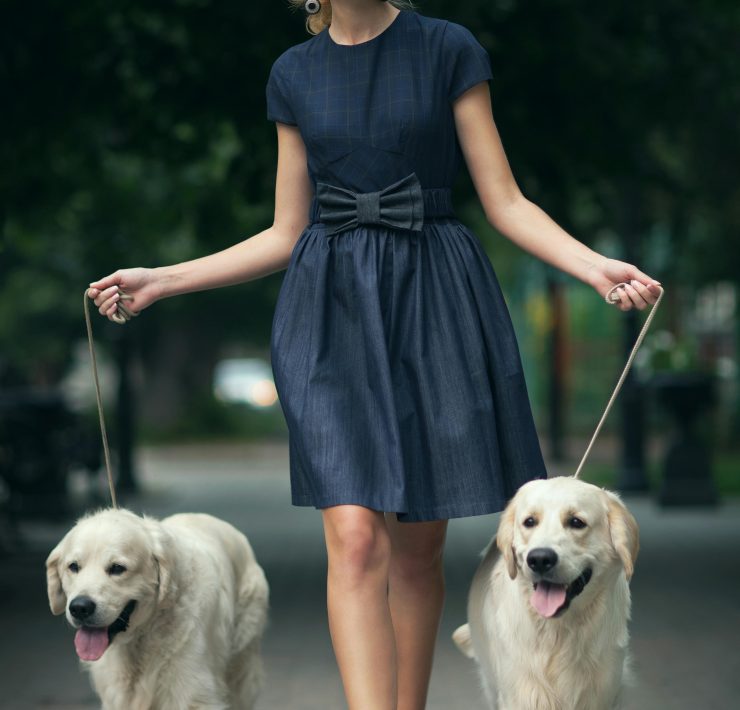 How To Look Fashionable When Walking Your Dog