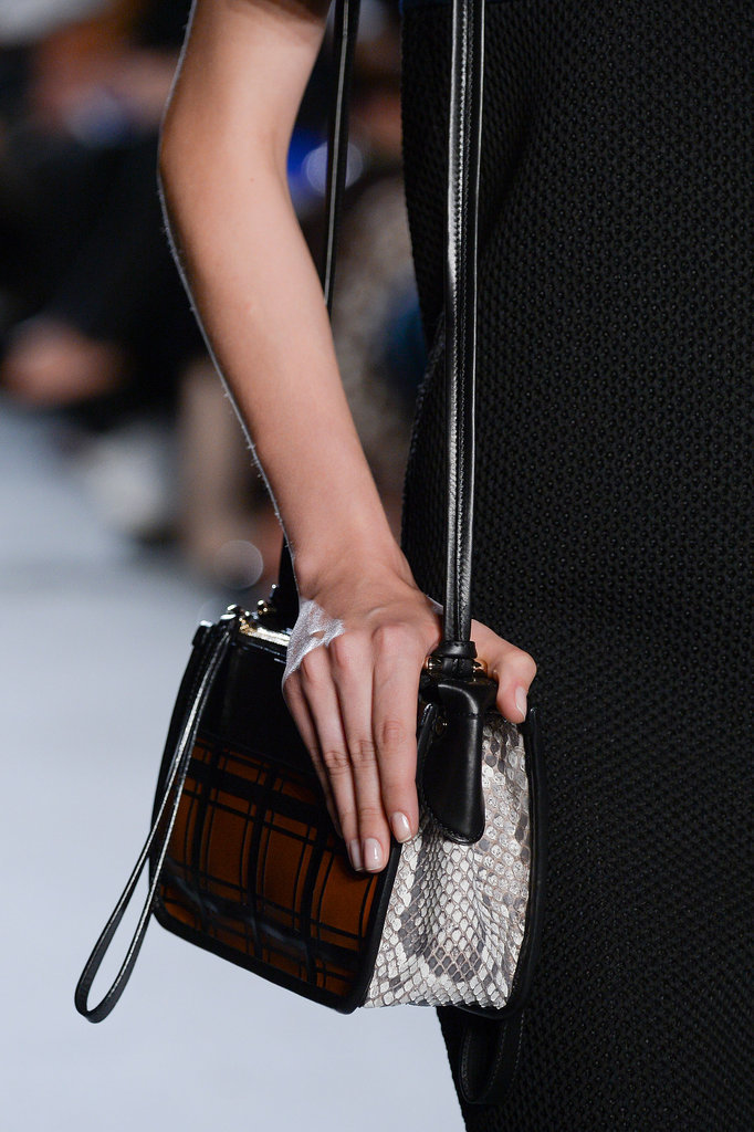 Trend 2015 Spring Crossbody Bag Fashion Runway