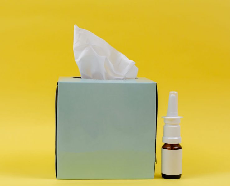 A Comprehensive Guide To Allergy Care & Treatment
