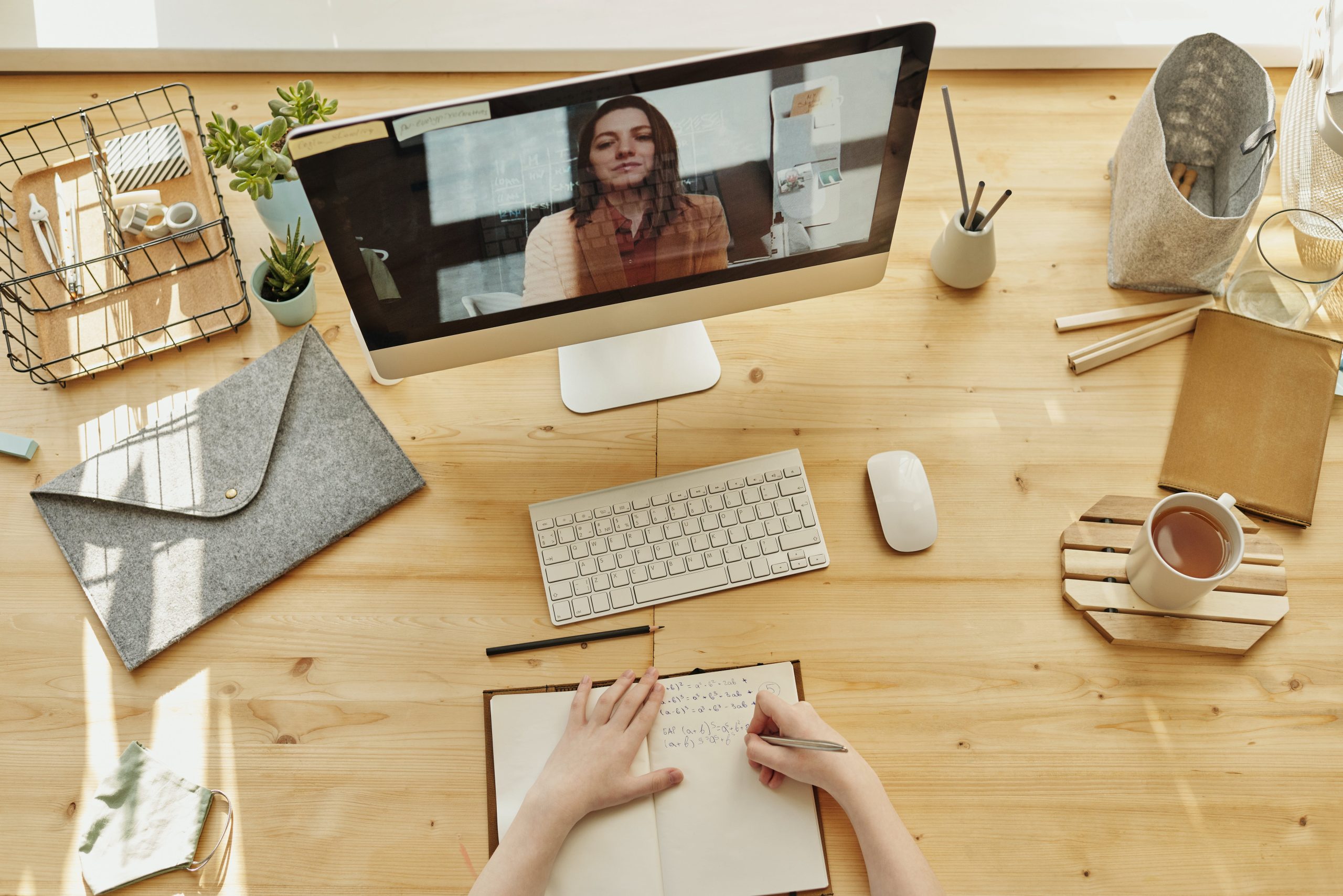 E-Learning Exposed: Assessing the Benefits and Drawbacks of Virtual Learning