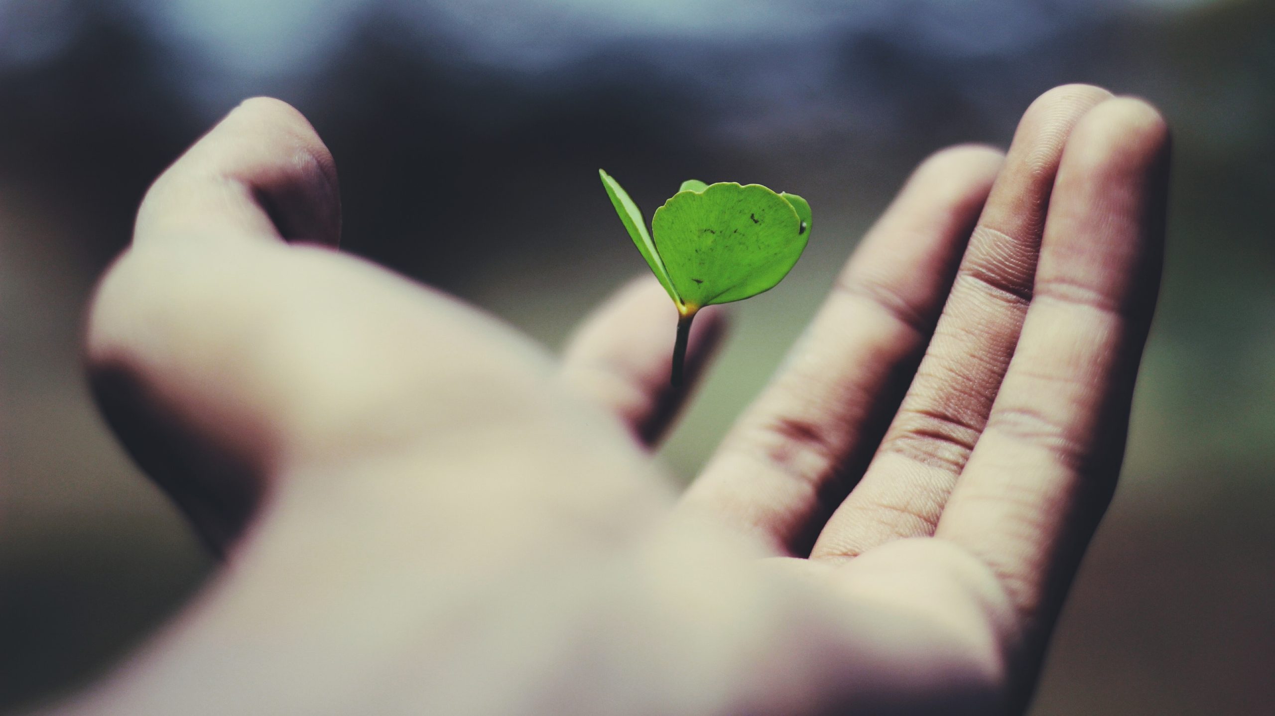The Ultimate Guide to Building a Fulfilling and Balanced Life
