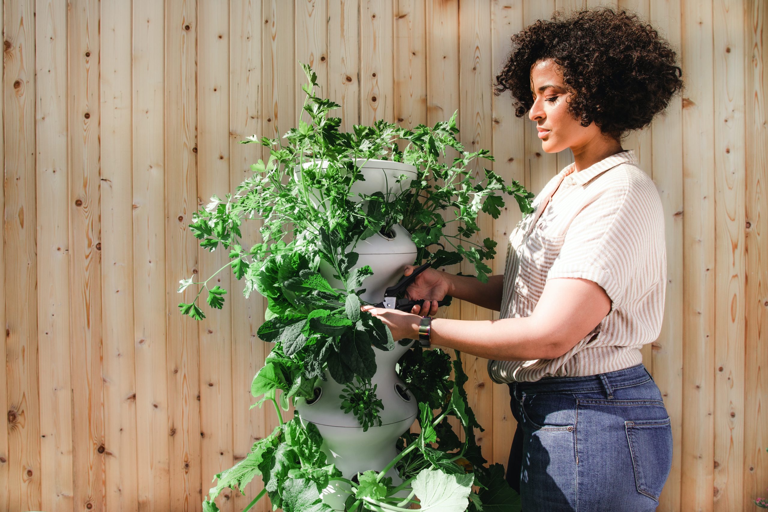 Beyond Concrete: Securing the Future of Green Spaces