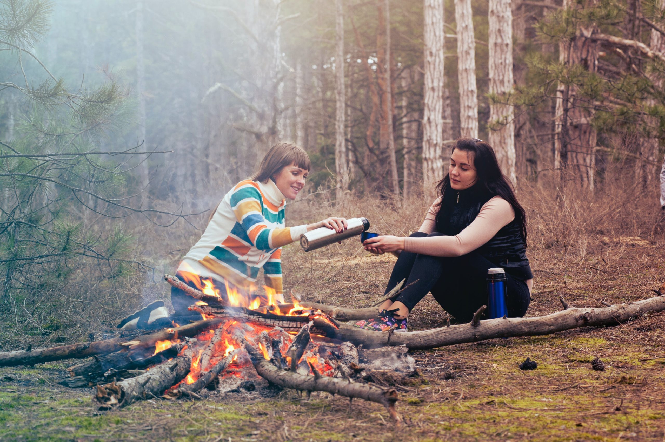 Entertainment for Park Camping Evenings You Need To Try