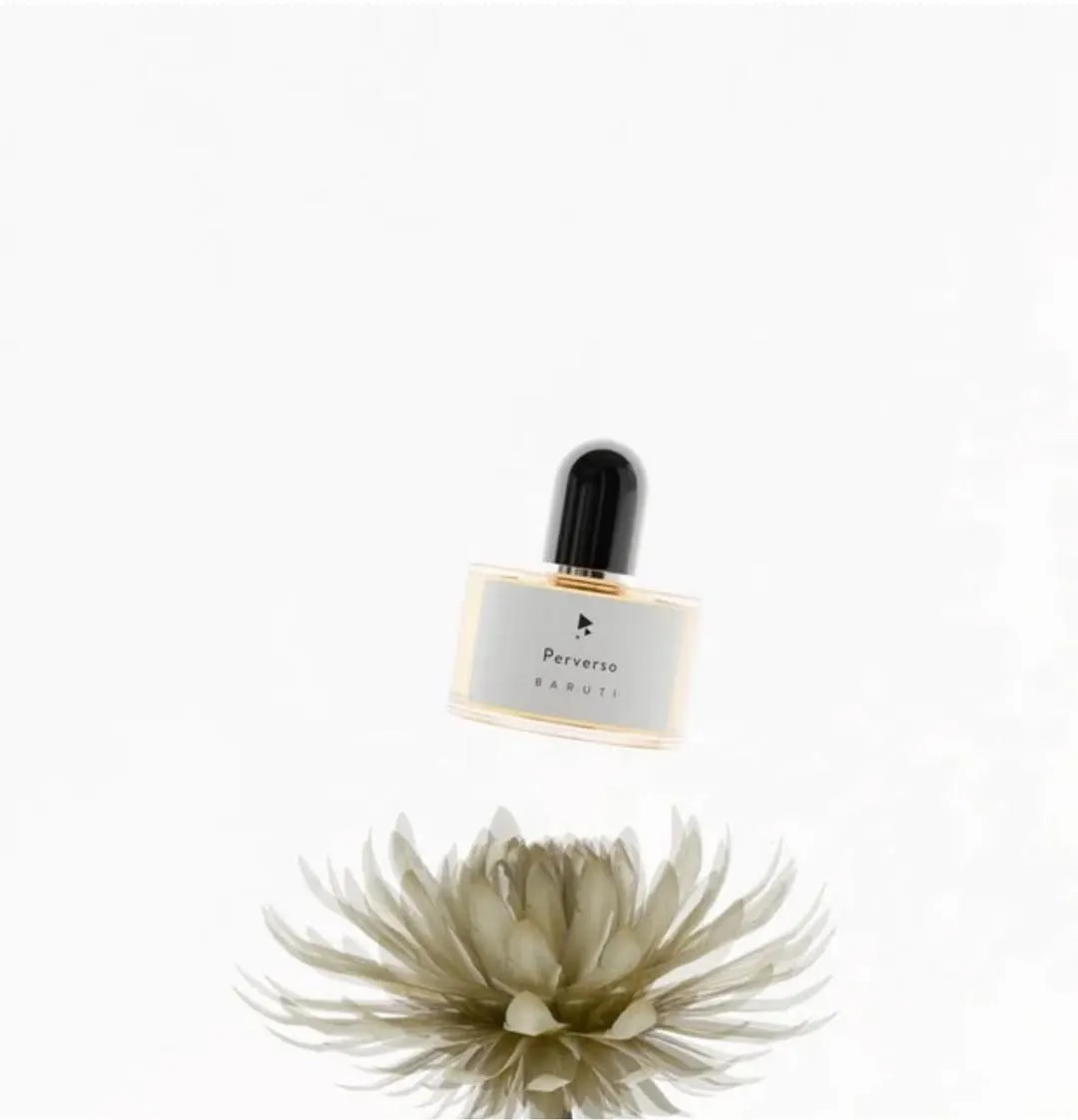 The Hidden Scent of the Netherlands: My Journey to Find a Local Perfume