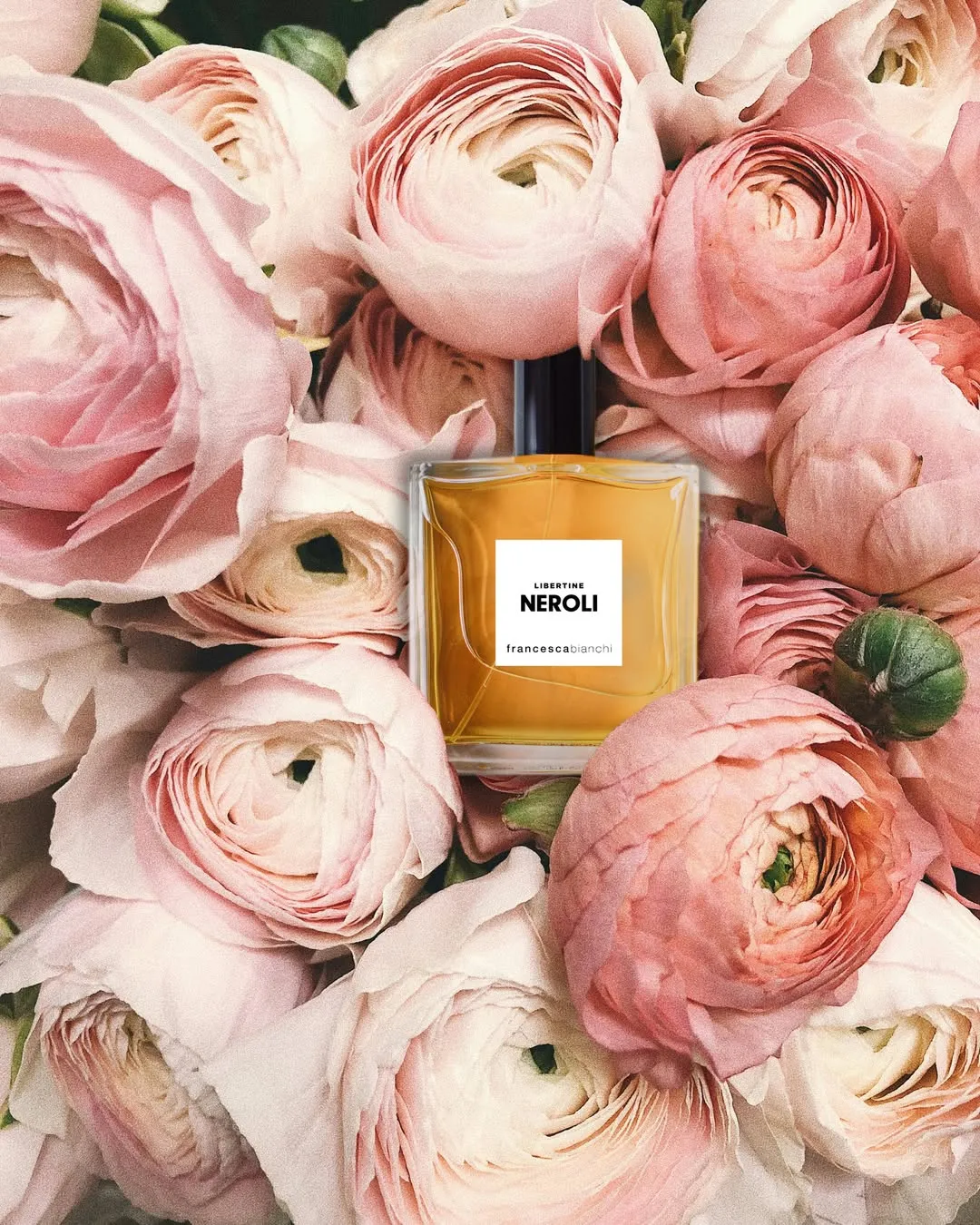 The Hidden Scent of the Netherlands: My Journey to Find a Local Perfume